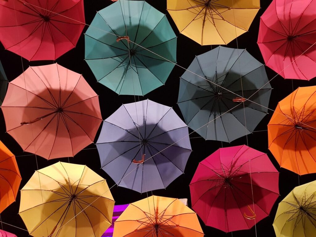 what is world day for cultural diversity