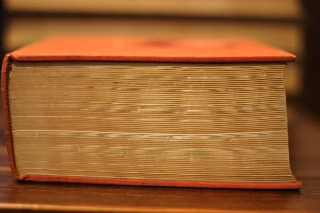 french language