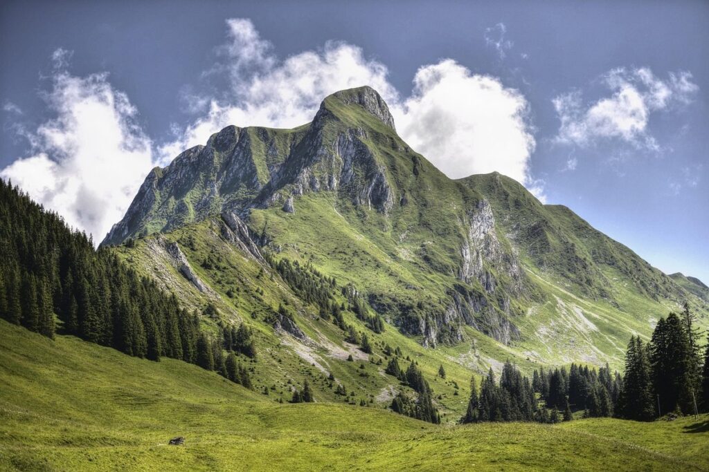 how many languages spoken in switzerland