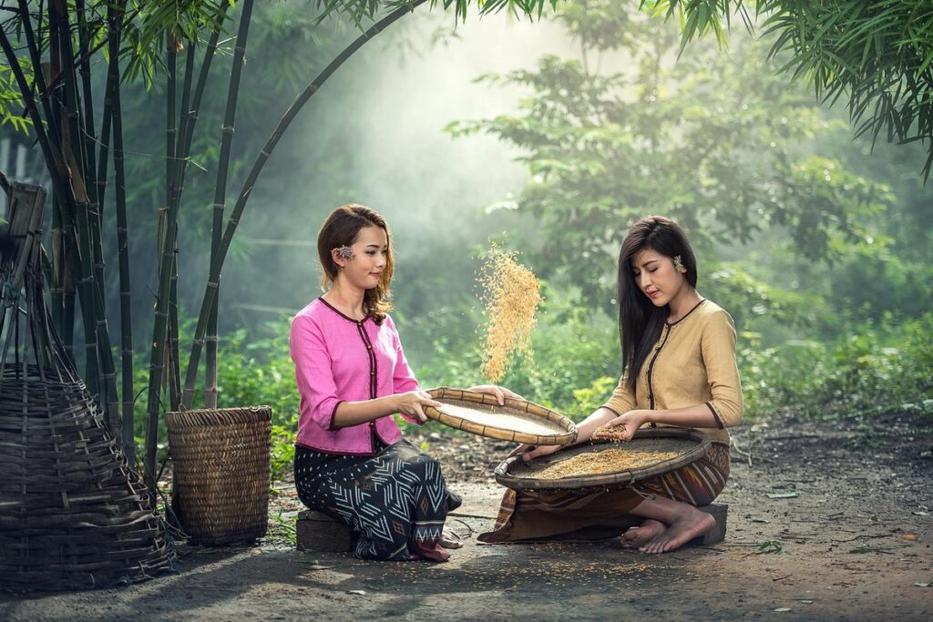 harvest season traditions across cultures