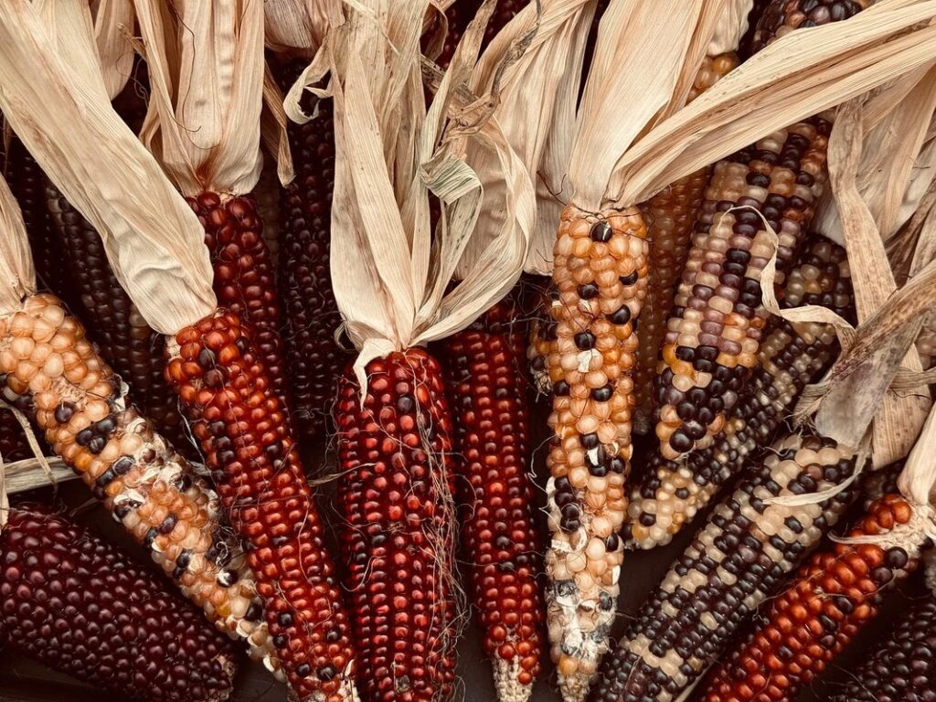 thanksgiving meaning