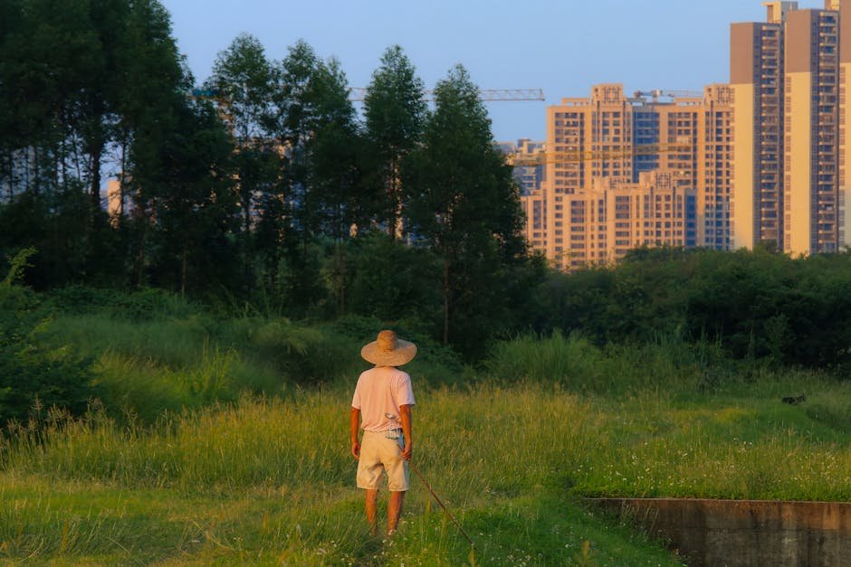 Urban vs rural lifestyle -> Rural Urban Contrast
