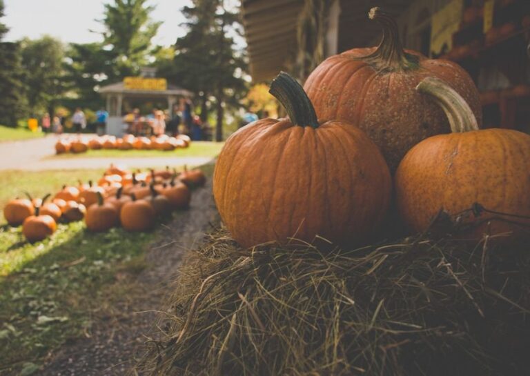 fall events plymouth ma
