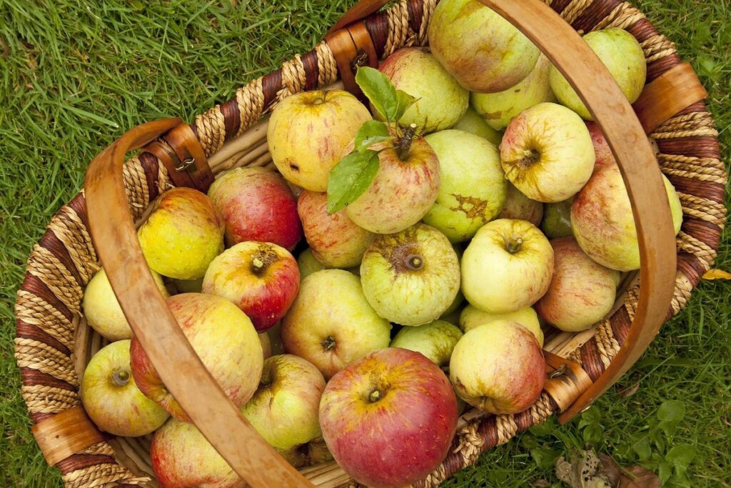 traditional english food