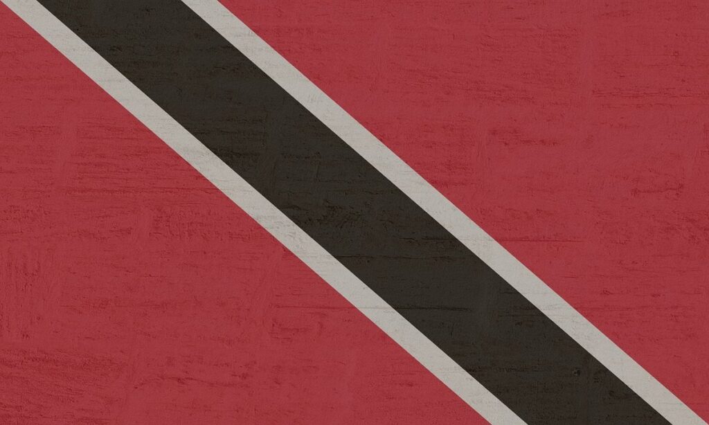 what language does trinidad speak