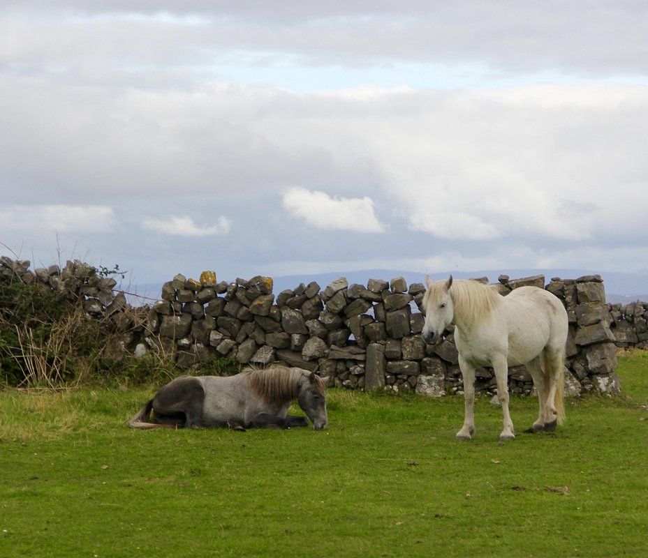 Irish countryside