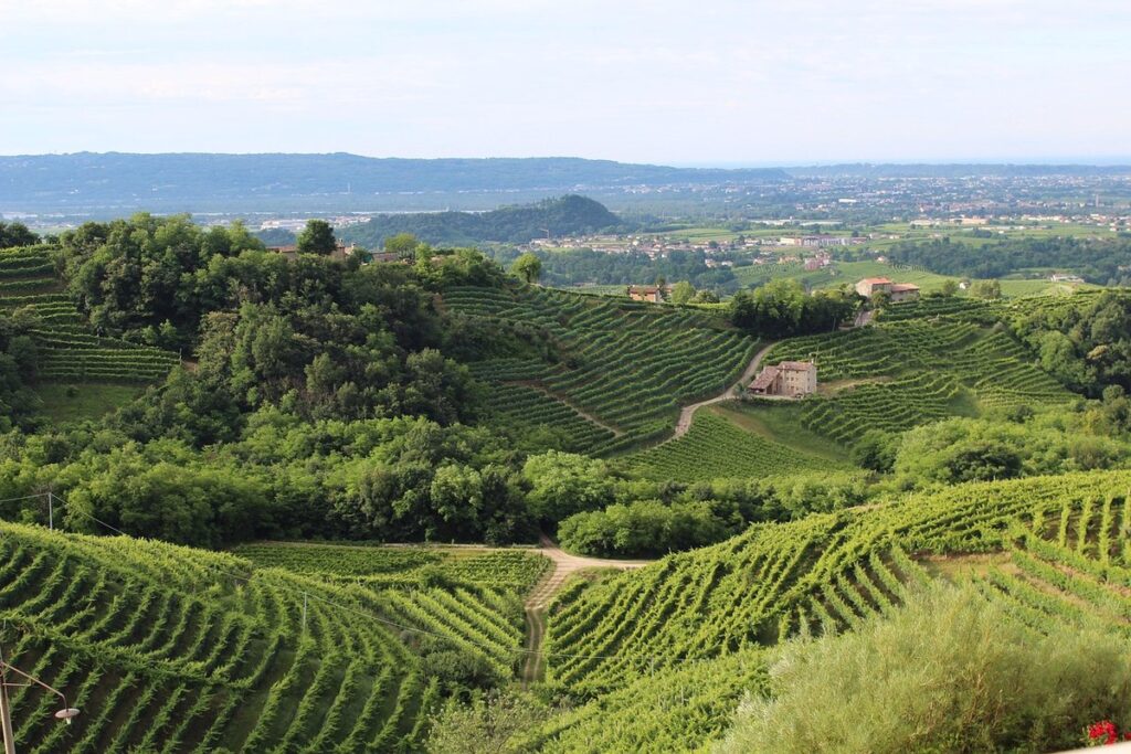 Italian Countryside